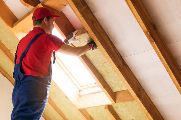 Types of Insulation We Offer in Germantown, TN